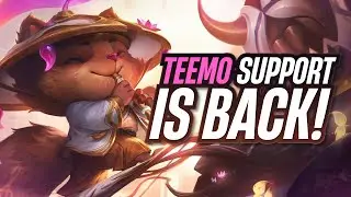 TEEMO HIGHEST WINRATE SUPPORT?