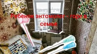 На игле ( или смотрим на энтомологические булавки)