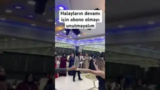 #halay #düğün #kars #keşfet #reels #halaybaşı #shortvideo #halaylar #sivas #güzeller #bursa #ankara