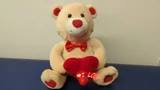 Sound N Light Fan Message Bear