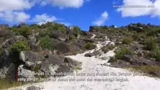 Pasir Putih Wamena