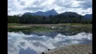 Mount Warning Climb