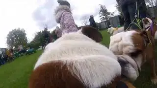 Spike Cam