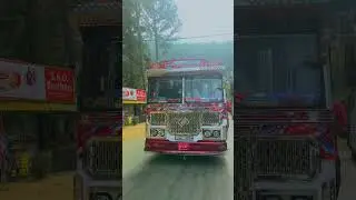 කවුද දන්නෙ මේ බස් එකේ නම | බස් පිස්සො #srilanka #subscribe #bus