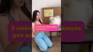 Не допускай эту ошибку при выборе имени для щенка 