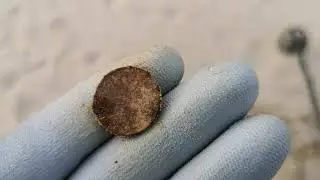 Холодное Балтийское море. Находки на пляже.