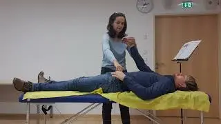 Kinesiologie-Diplom mit Mag. Eva Prem in Salzburg - Start im Oktober