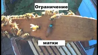 Уникальный метод Холмса по остановке матки без её поиска