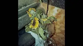 Lori Ja - URLO E SUSSURRO