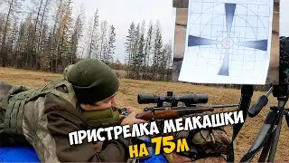 Sighted a small-bore rifle at 75 meters. SK flatnose hunting cartridges