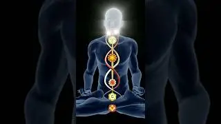 Kundalini Yoga | Kundalini Yoga Practice | Kundalini Yoga Practice for beginners | 