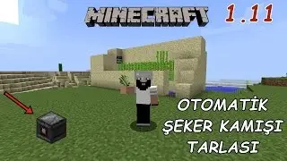 Observer ile Otomatik Şeker Kamışı Tarlası | Türkçe Minecraft 1.11