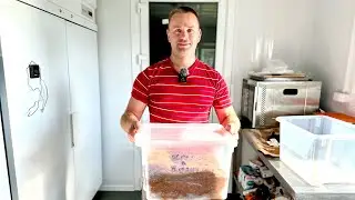 ТАК ВКУСНО ЕЩЕ НЕ БЫЛО! ПОМОЩЬ АРТЕМУ