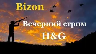 Heroes & Generals.
