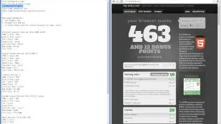 Chrome Canary 30 Review