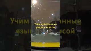 Алиса заговорила по-английски. Как смогла.
