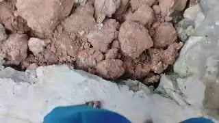 Uruk rumah hari ke 3