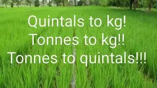 convert quintal to kg|convert tonne to kg|convert tonnes to quintals|explained with example in tamil
