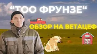 Ветацеф делает вашу работу проще! | Мы в Костанае