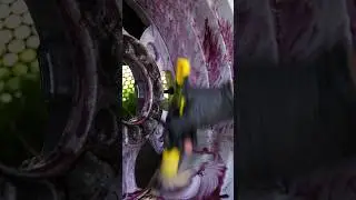 Как часто пользуетесь айронами?