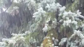rain sounds, sleeping with rain sounds, sound of gentle rain, rain sounds for sleeping 1 hour, rain