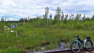 Мшинская-Пехенец-Долговка-Кемка