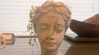 Roman Head Planter Pot Review
