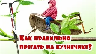 Как правильно прыгать на кузнечике?