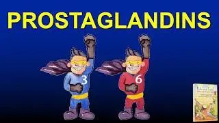 What are prostaglandins?