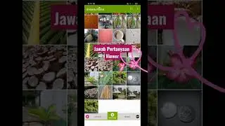 Cara Mengecek Status Foto 