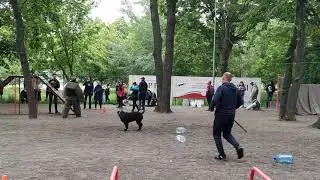 Соревнование собак по охране и сопровождению
