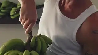 Diplo: Das Herz des Hauses 🎯