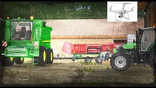 fs 17 /  BATTAGE DE TOURNESOL / COURS MÉTRAGE