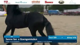 Fokdag | It Fryske Greidhynder | Baan 2 | 22 Juni 2024