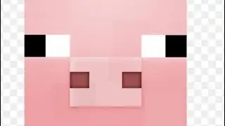 1 Bit 2 Bit 4 Bit 8 Bit 16 Bit 32 Bit 64 Bit 128 Bit 256 Bit 512 Bit 1024 Bit Pig