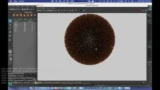 3D Studio: Maya XGen Interactive Groom Tool. Fur.