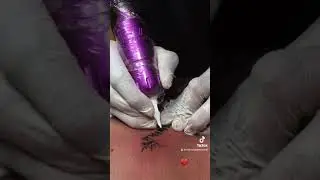 Adarei manika
