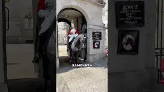 Why doesn't the guard let me touch the horse? 