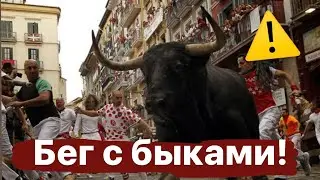 БЕГ  с быками на улице в Испании- ОПАСНАЯ ТРАДИЦИЯ ‼️
