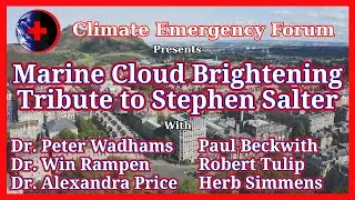 Marine Cloud Brightening - Tribute to Stephen Salter
