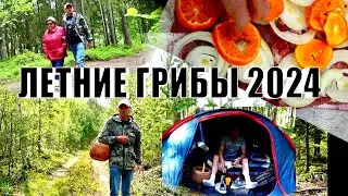 ЛЕТНИЕ ГРИБЫ 2024 ПОЕЗДКА ТВЕРСКАЯ ОБЛАСТЬ МОРЕ КАЙФА