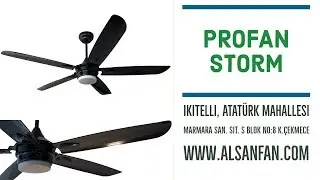 Home Type Ceiling Fan of Alsanfan's Profan Strom