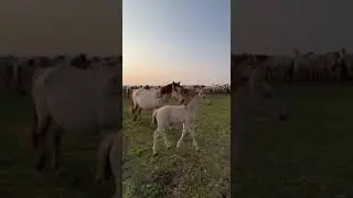 🤗СКОЛЬКО МАЛЕНЬКИХ МАЛЫШЕЙ🤗