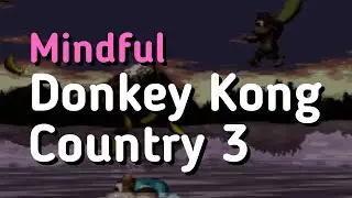 Mindful Donkey Kong Country 3