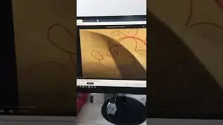 YTPMV Walt Disney Animation Studios Logo Scan