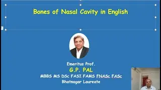 Bones of Nasal cavity  English