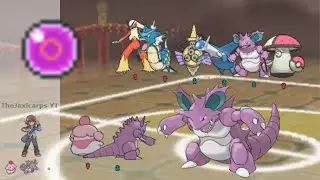 Sticky Web Nidoking Sweep | Pokemon Showdown