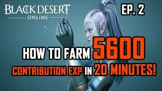 Black Desert Online Console Episode 2! How to get 5600 contribution exp every day