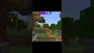 Minecraft , but every time i say no i teleport