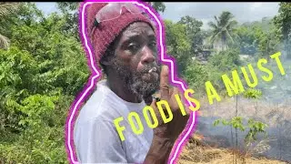 The government wants all our land #jamaica #nature #bobmarley #food #fypviral #tvshow #messi #tvd